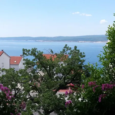 Apartman Dokic *